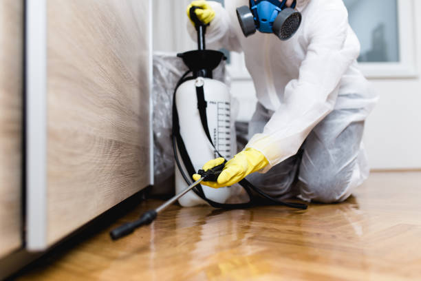 Best Best Pest Control Companies  in Lynchburg, TN