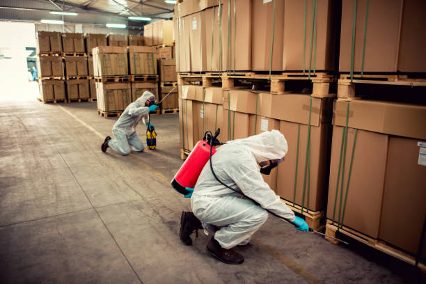 Best Emergency Pest Control  in Lynchburg, TN
