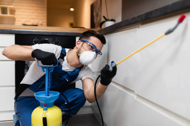Best Wasp Removal Services  in Lynchburg, TN