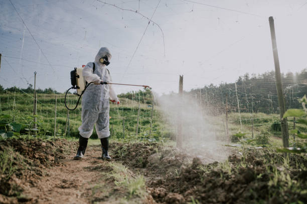 Pest Control Cost in Lynchburg, TN