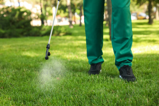 Best Insect Control  in Lynchburg, TN