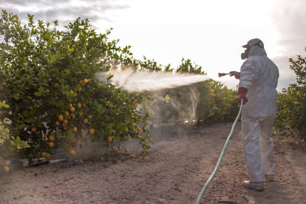 Best Mosquito Control Services  in Lynchburg, TN