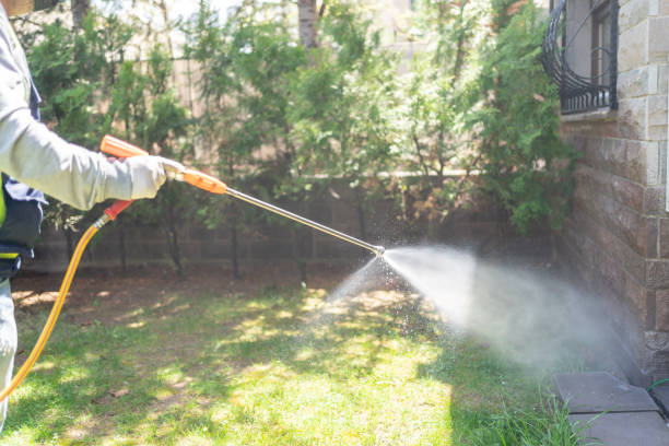 Best Affordable Pest Control Services  in Lynchburg, TN