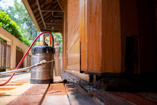 Best Termite Control Services  in Lynchburg, TN