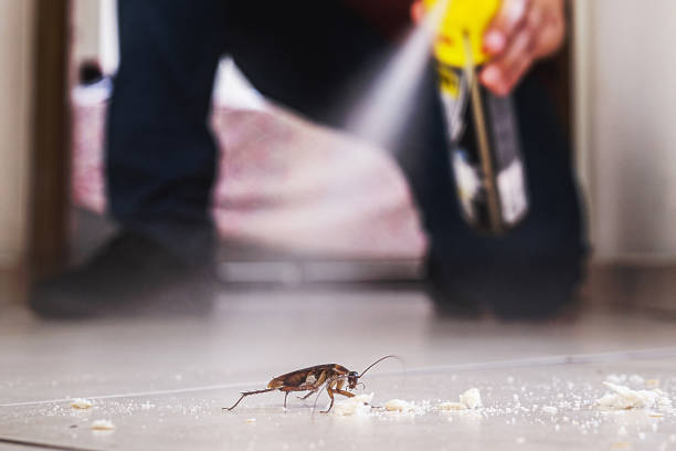 Best Wildlife Control Services  in Lynchburg, TN