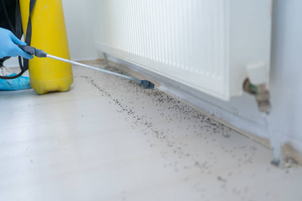 Best Pest Prevention Services  in Lynchburg, TN