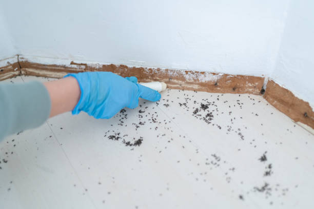 Best Pest Removal Services  in Lynchburg, TN